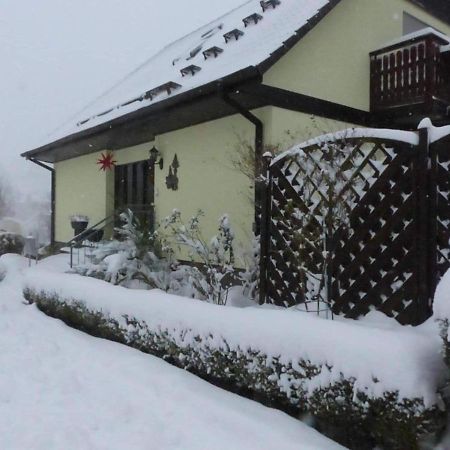 Fewo-Schmidt-Im-Erzgebirge Gelenau 外观 照片